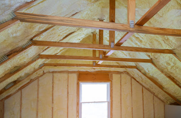 Best Insulation Maintenance and Repair in Eureka, IL