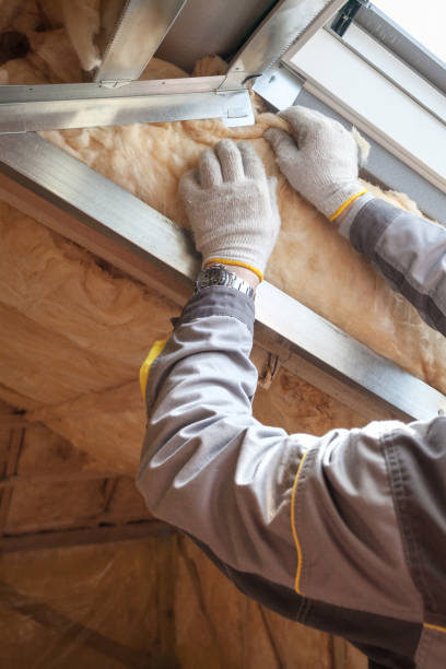 Trusted Eureka, IL Insulation Contractor Experts
