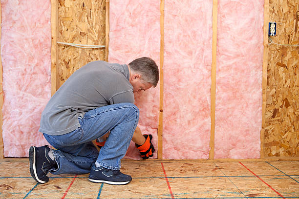 Best Eco-Friendly Insulation in Eureka, IL